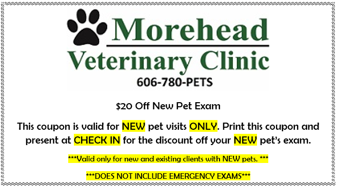 $20 Off New Pet Exam