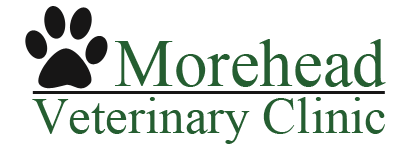 Morehead Veterinary Clinic Logo